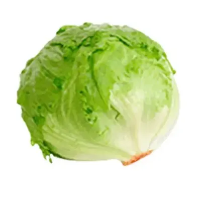 Imagen de Lechuga Batavia kilo