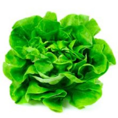 Imagen de Lechuga lisa