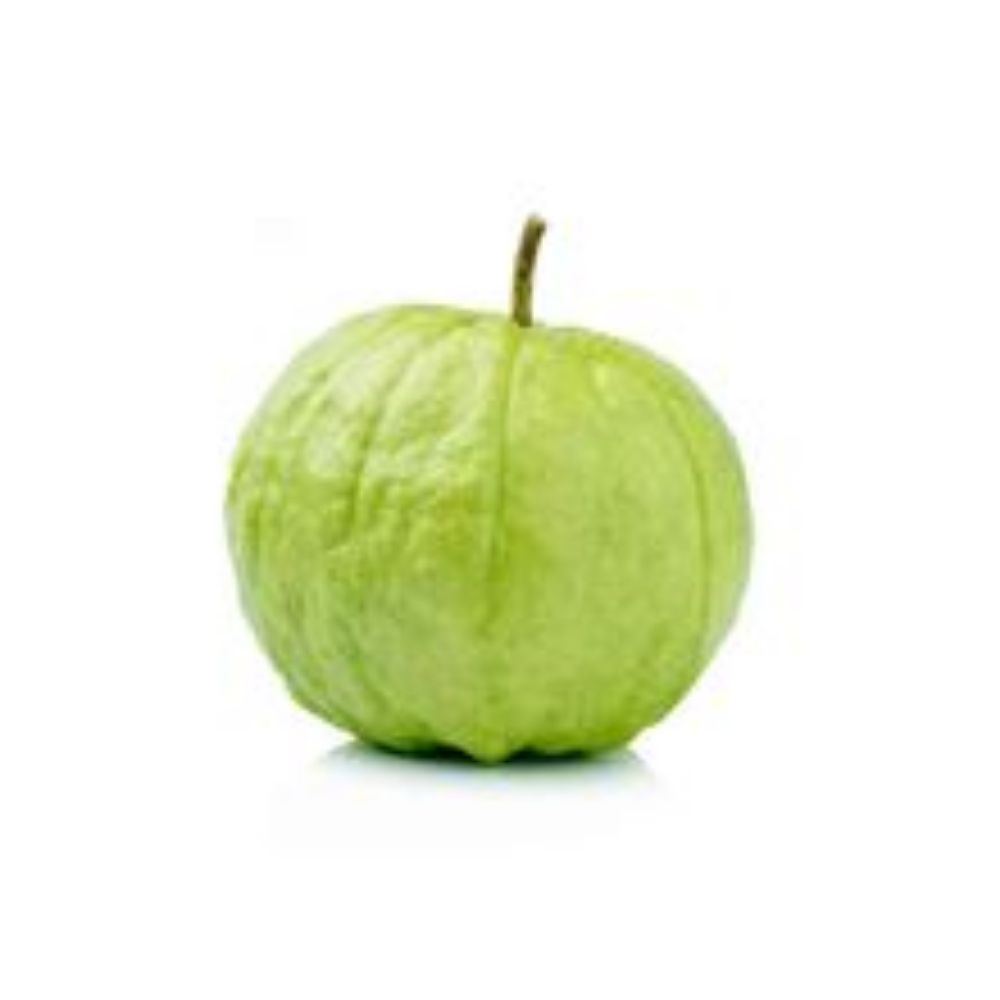 Imagen de Guayaba manzana 1 und