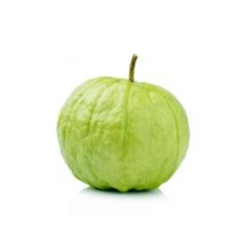 Imagen de Guayaba manzana 1 und