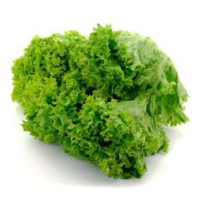 Imagen de Lechuga rizada unidad