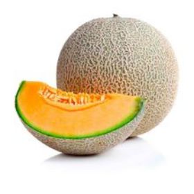 Imagen de Melón 1 und