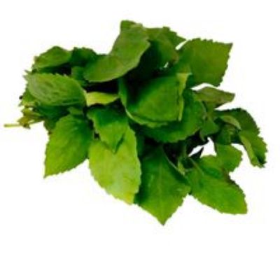 Imagen de Guasca manojo