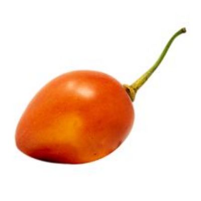 Imagen de Tomate de árbol 1 und