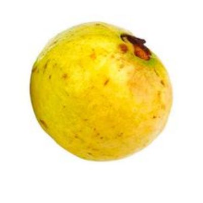Imagen de Guayaba agria 1 und