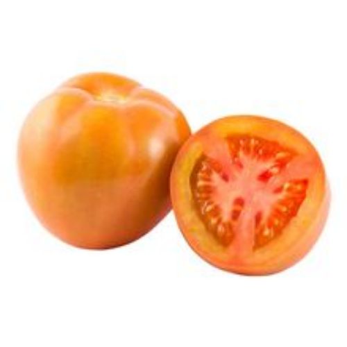 Imagen de Tomate chonto 1 und