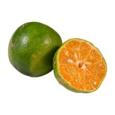 Imagen de Limón mandarino 1 und