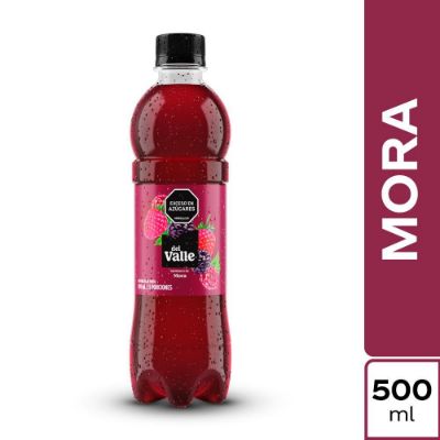 Imagen de Refresco DEL VALLE mora (500  ml)