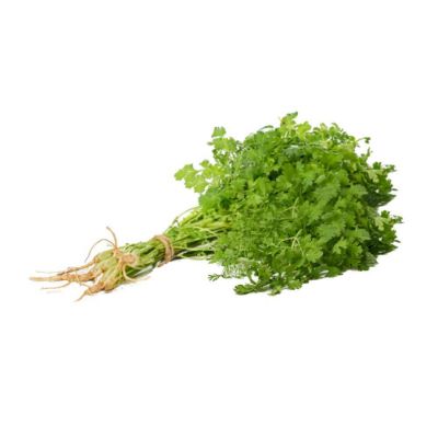 Imagen de CILANTRO  100  gr