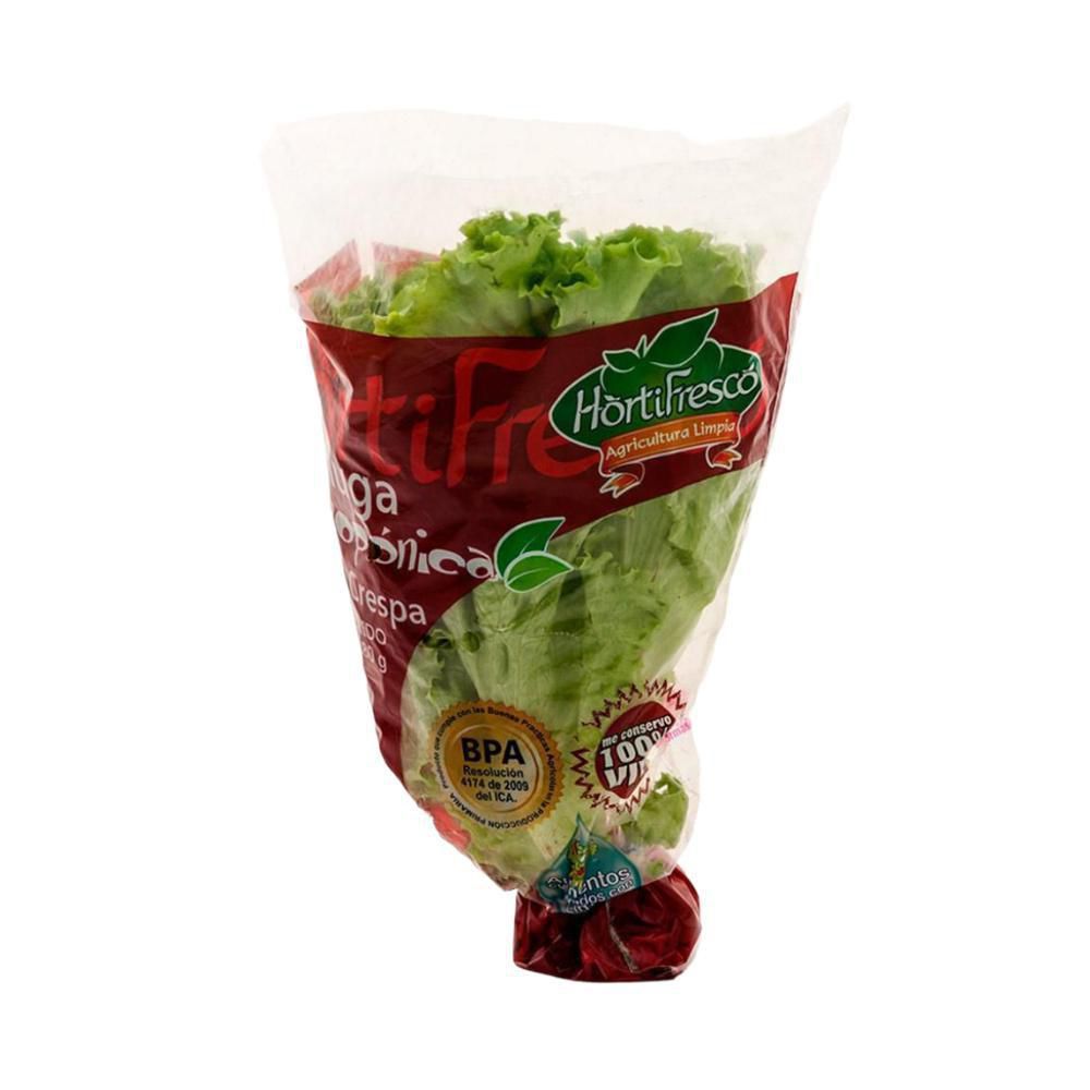 Imagen de LECHUGA HIDROP. VERDE CRESPA  170  gr