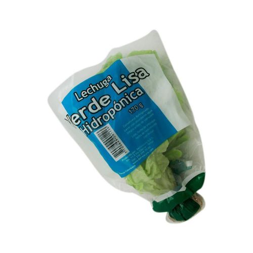 Imagen de LECHUGA HIDROP. VERDE LISA  170  gr