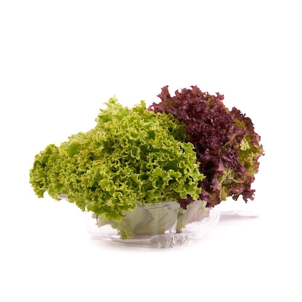 Imagen de LECHUGA HIDROP. TROPICAL DEFRESCURA 170  gr